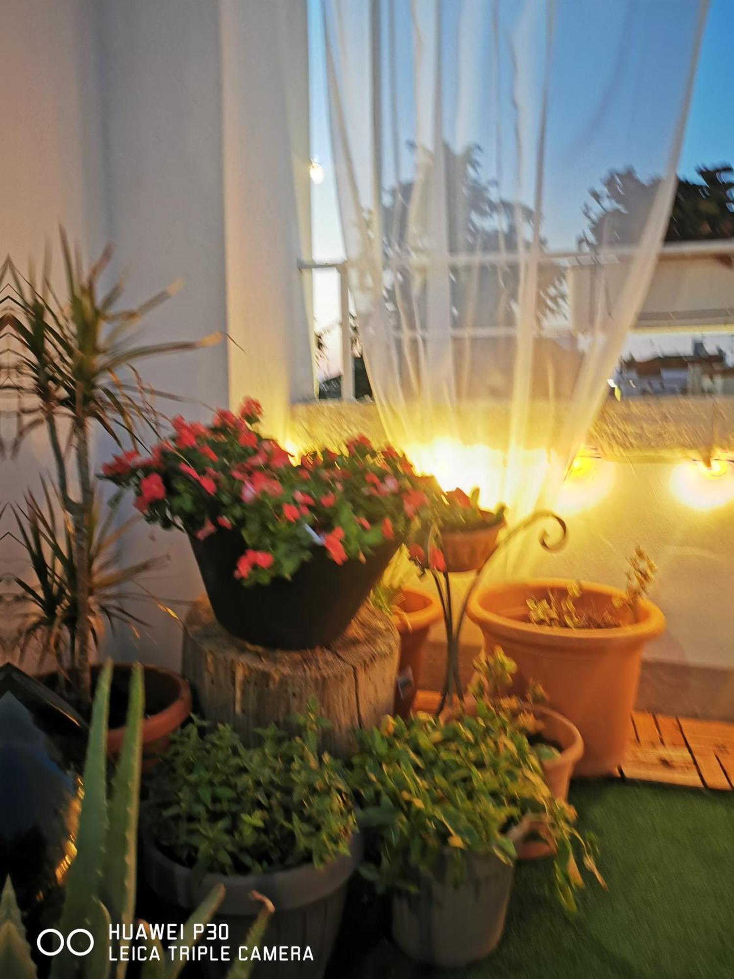 Sfumature Di Puglia Daire Turi Dış mekan fotoğraf